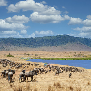 Safari de 6 días a la Gran Migración de Nus en Tanzania