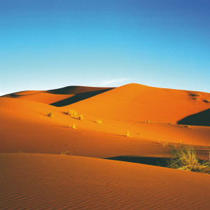 Circuit Marrakech Sahara de 2 à 100 personnes