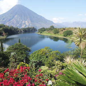 Guatemala Balam