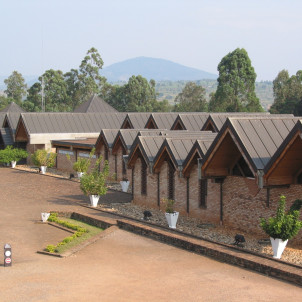 8 jours de safari au Rwanda