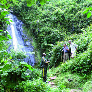 8 jours de safari au Rwanda