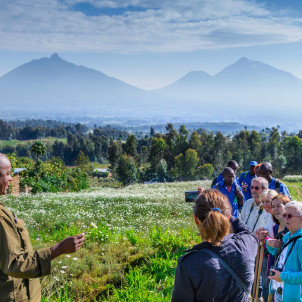 8 jours de safari au Rwanda