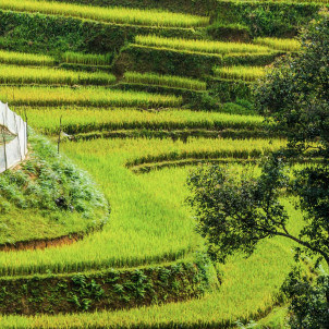 Découverte ludique du Vietnam en famille