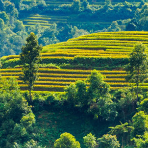 Découverte ludique du Vietnam en famille