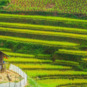 Les Rizières en terrasse au Nord-Ouest du Vietnam en 7 jours et 6 nuits