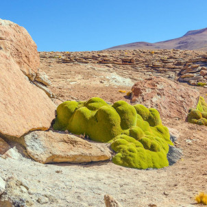 En busca de Eldorado