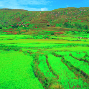 THE SOUTH OF MADAGASCAR