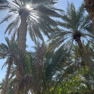 Oman Land der Kontraste