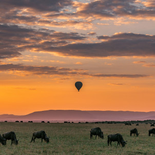 Safari privé pour couples et vacances à Zanzibar