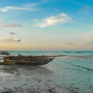Safari privé pour couples et vacances à Zanzibar