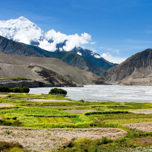 Trek dans le Haut Mustang