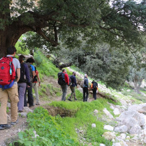 Jordan Adventures Splendor (Families, couples & Friends)