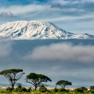 12-Day Combine Tour Kilimanjaro Trek's & Serengeti Park