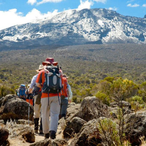12-Day Combine Tour Kilimanjaro Trek's & Serengeti Park