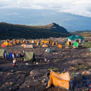 12-Day Combine Tour Kilimanjaro Trek's & Serengeti Park