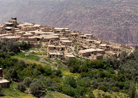 Amman- Dana (visite Optionnel)- chateau de Shobak- Petra