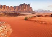 Petra - Wadi Rum (environ 130km)