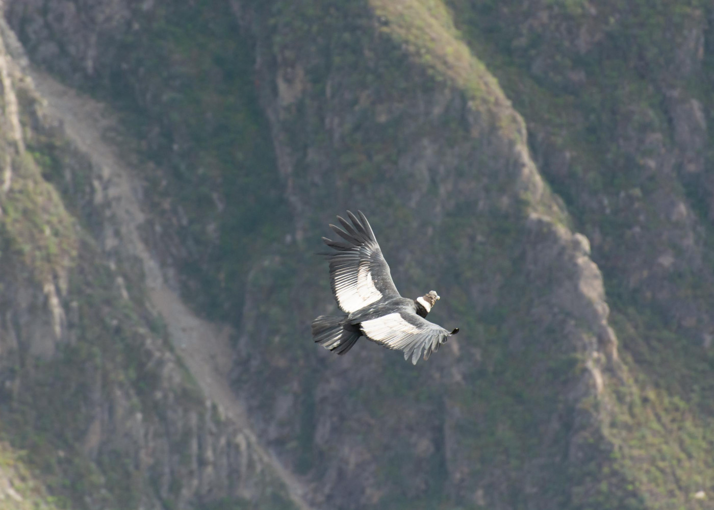 La Croix des Condors