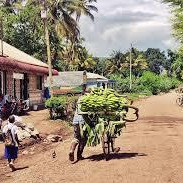 9-Day Northern Tanzania Wildlife Mid-Range Safari Experience with Cultural Tour