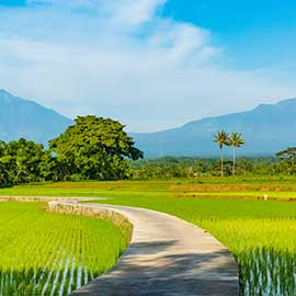 Entre Temples & Volcans, de Java à Bali