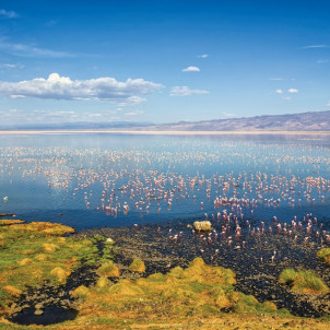 A piedi sui sentieri e le piste della Rift Valley