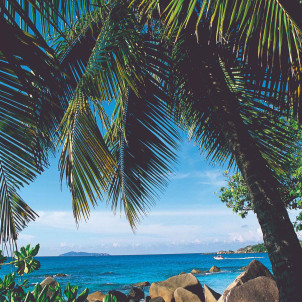 Escapada a las Seychelles en 3 islas