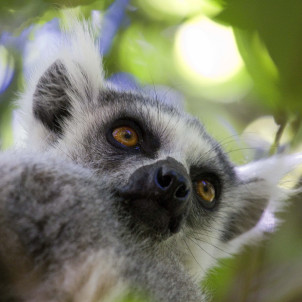 Les secrets de la  Route Nationale 7 de Madagascar