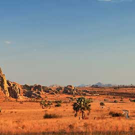 Road-Trip sur la Route Nationale 7 de Madagacar