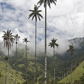 Les beautés de la Colombie