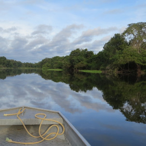 Travel Rio - Amazonia y la Ruta de las Emociones