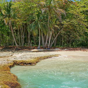 Entdecken Sie das wahre Costa Rica, mit Schwerpunkt auf Land und Landwirtschaft.