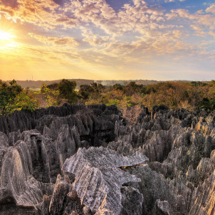 Die Tsingy von Bemaraha und die Affenbrotbaumallee