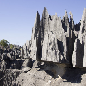 Die Tsingy von Bemaraha und die Affenbrotbaumallee
