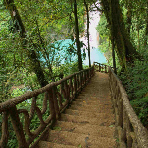 Aventure en famille au pays de l'or vert !