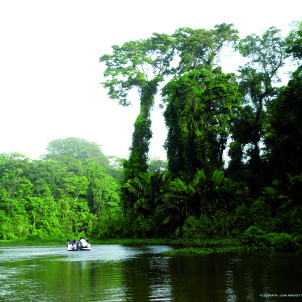 L'essentiel du Costa Rica