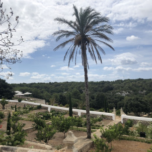 Minorca, tussen welzijn, exclusiviteit en ontkoppeling