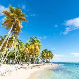 Le plus beau des îles - pour le bonheur des petits et grands