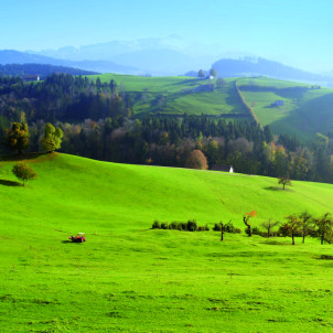 Die Alpen entdecken