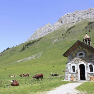Die Alpen entdecken