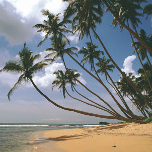 Natur und Dorfer in Sri Lanka