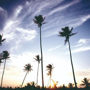 Natur und Dorfer in Sri Lanka