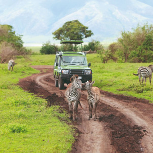 4 DAYS SERENGETI AND NGORONGORO SAFARI