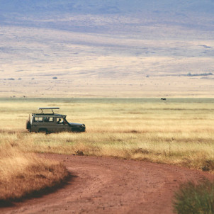 4 DAYS SERENGETI AND NGORONGORO SAFARI
