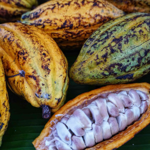 Les incontournables: des Andes aux Caraïbes - 14 jours