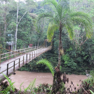 Découverte des racines colombiennes - 21 jours