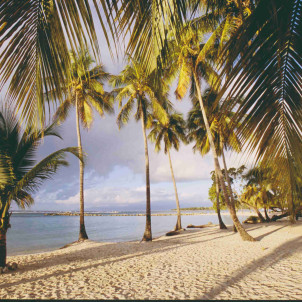 La Guadeloupe et ses Iles en 9 jours