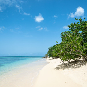 La Guadeloupe et ses Iles en 9 jours