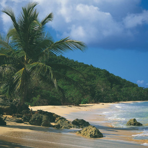 La Guadeloupe et ses Iles en 9 jours