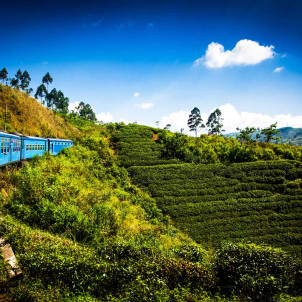 17 Tage, um das authentische Sri Lanka zu entdecken