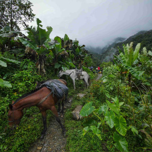 Colombie secrète: Circuit aventure de 21 jours